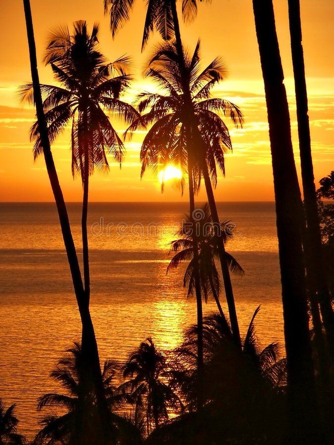 Atardecer tropical en el club